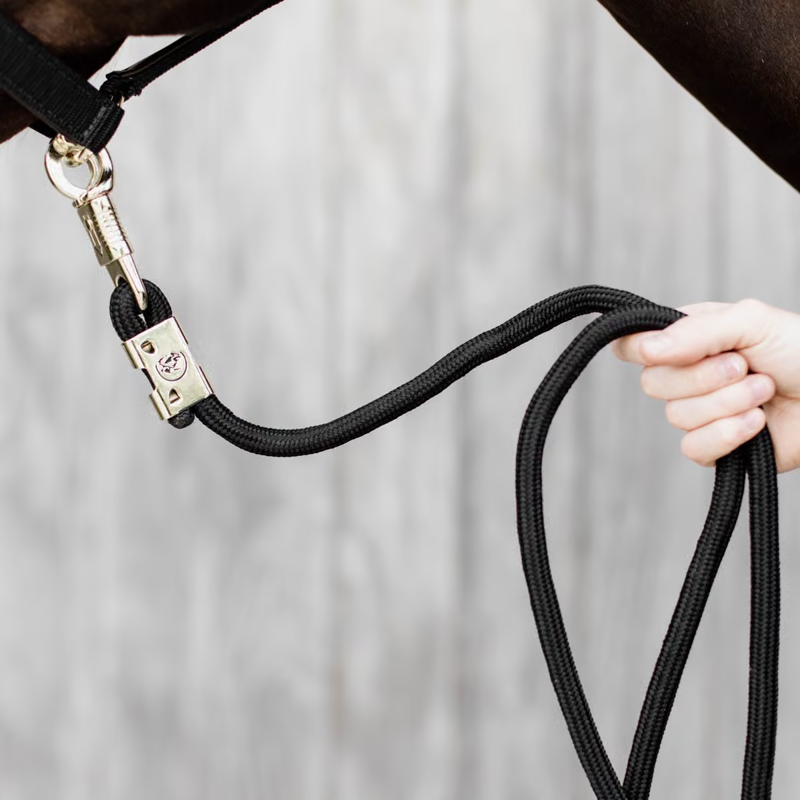 Kentucky Panic Hook Leadrope-4
