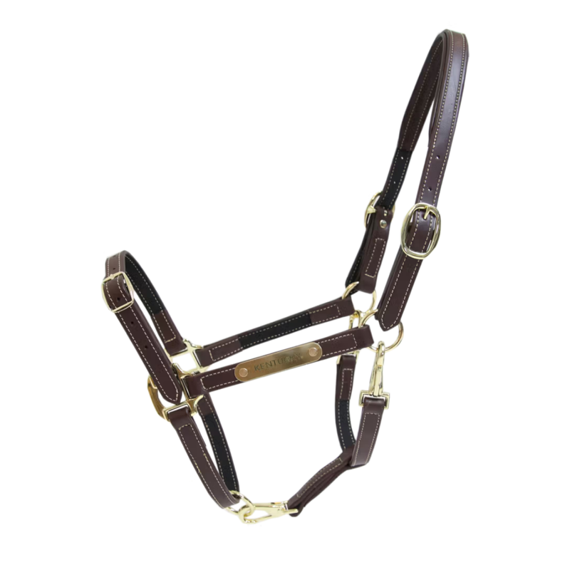 Kentucky Flexible Leather Headcollar - Brown-4