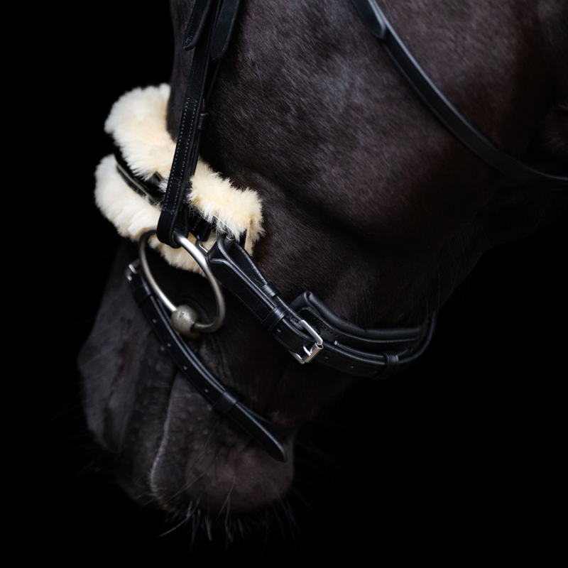 HV Polo Kate Bridle - Black-4