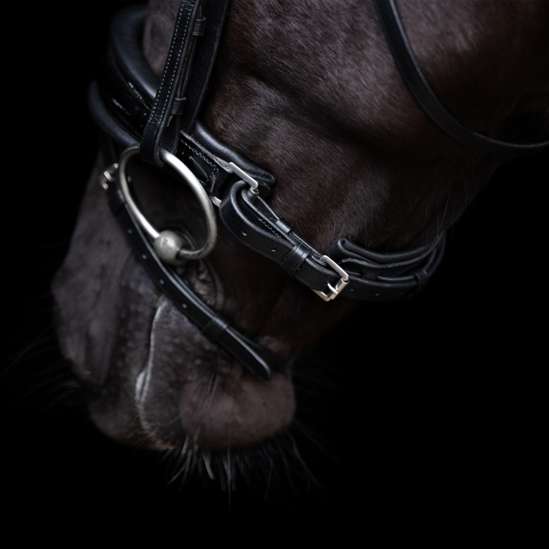 HV Polo Diana Bridle - Black-4