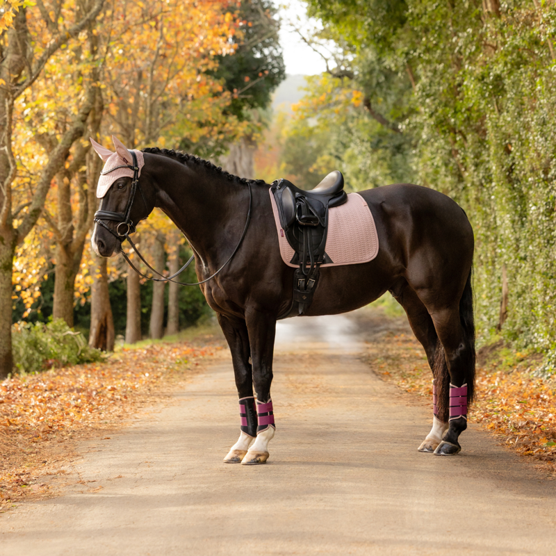 LeMieux Essence Dressage Square - Wild Rose-3