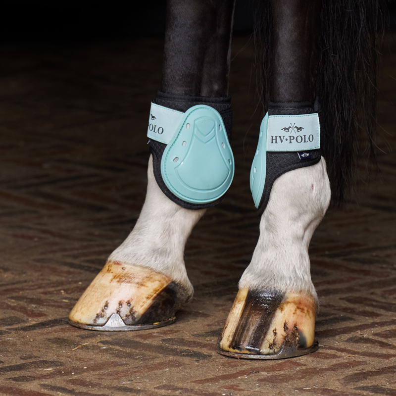 HV Polo Classic Tendon and Fetlock Boot Set - Aqua Sky-4