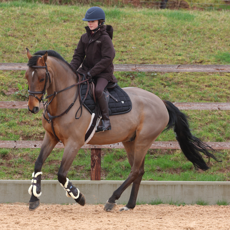 Aubrion Equestrian Young Rider Winter Coat - Espresso-9