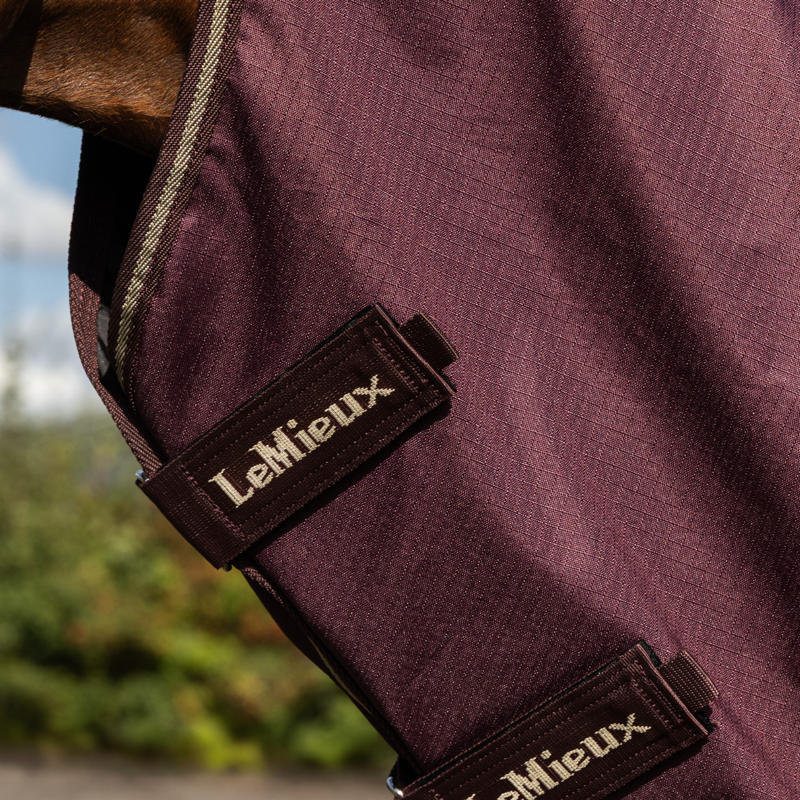 LeMieux Arika Ripstop 100g Turnout Rug - Bramble-1