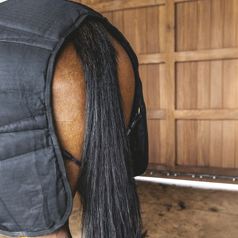 Kentucky Classic 300g Stable Rug - Black-4