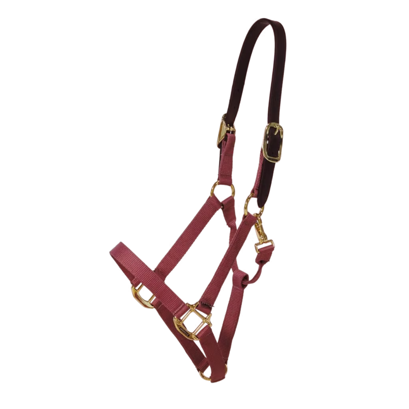 Kentucky Nylon Breakaway Headcollar - Bordeaux-4