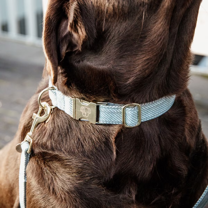 Kentucky Wool Dog Collar - Light Blue-2