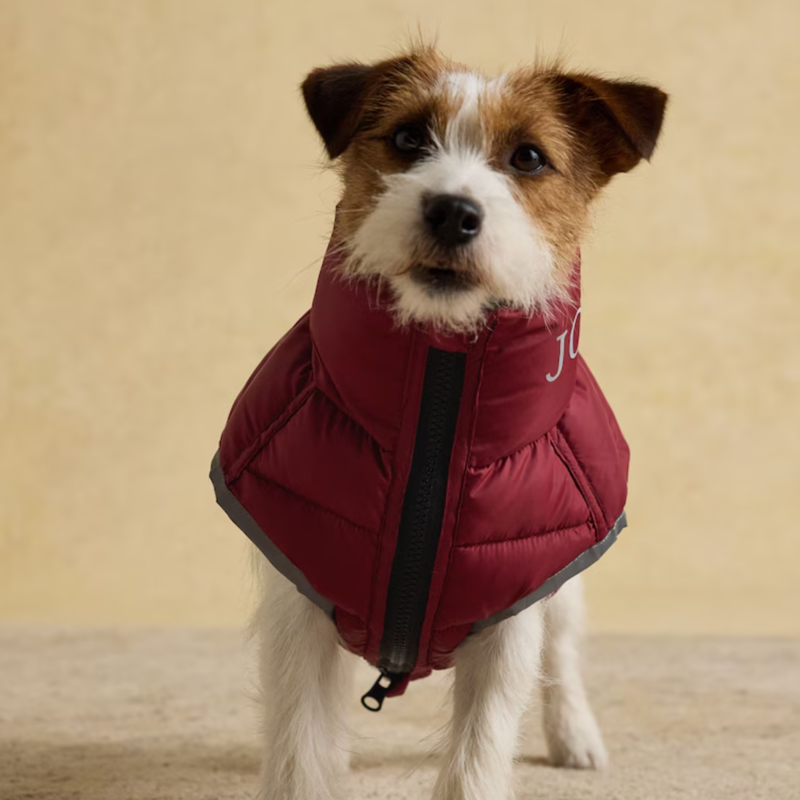 Joules Moorsdale Reversible Dog Puffer Coat - Navy-4