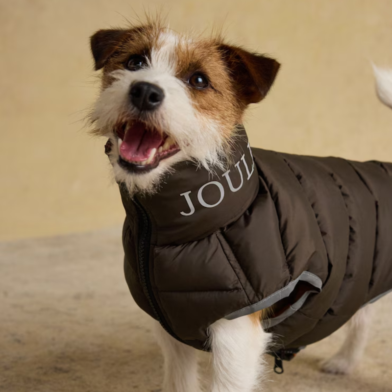 Joules Moorsdale Reversible Dog Puffer Coat - Ketchup-5