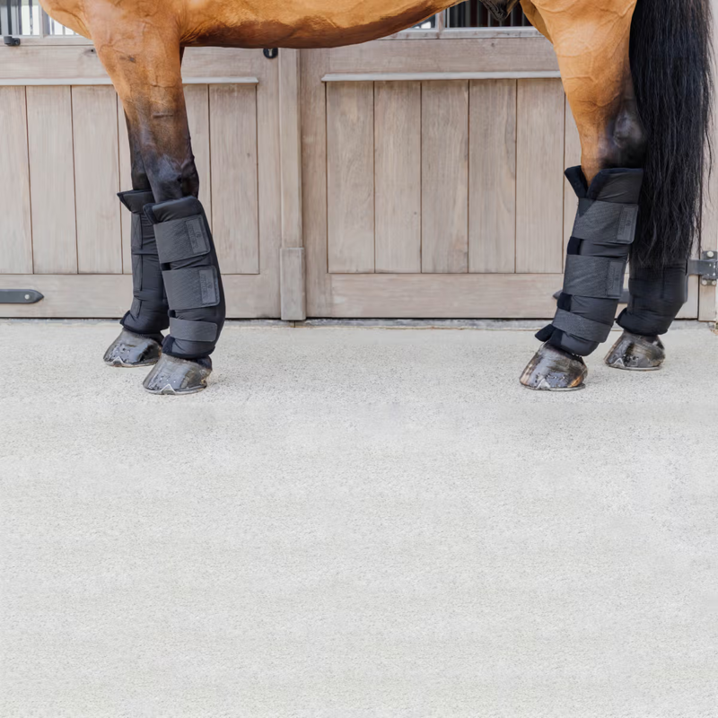 Kentucky Stable Boots PROtect Classic Hind - Black-3