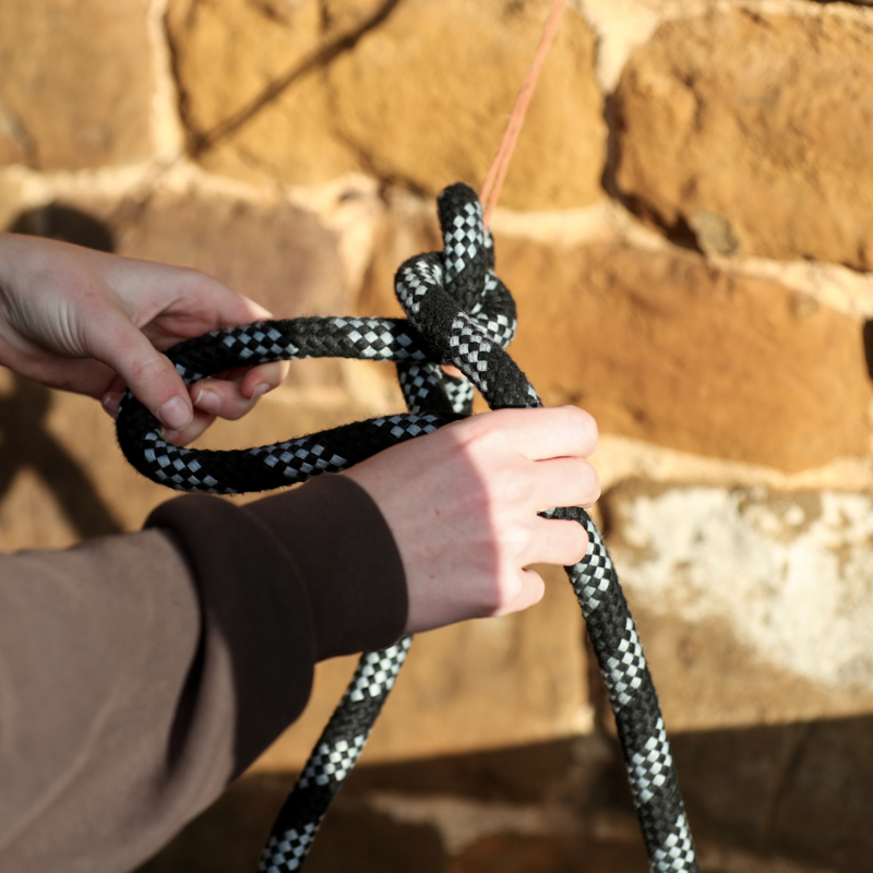 Equilibrium Stellar Safety Leadrope - Black-3