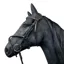 JHL Padded Grackle Bridle - Black