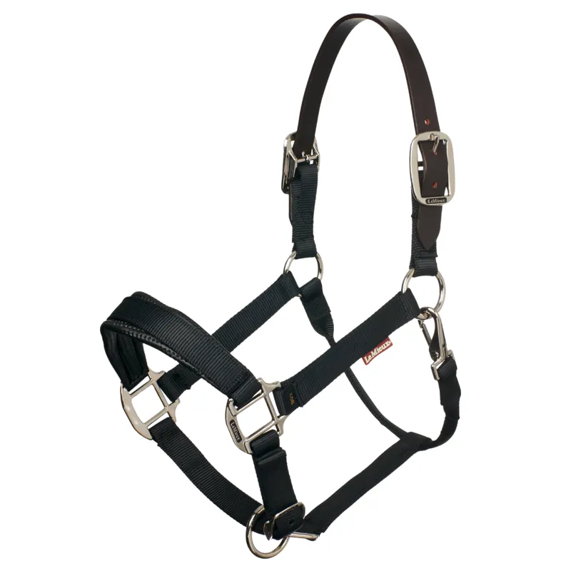 LeMieux Break Away Headcollar - Black