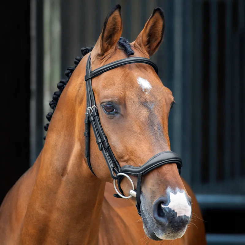 Shires Velociti Lusso Ergonomic Flash Bridle - Black