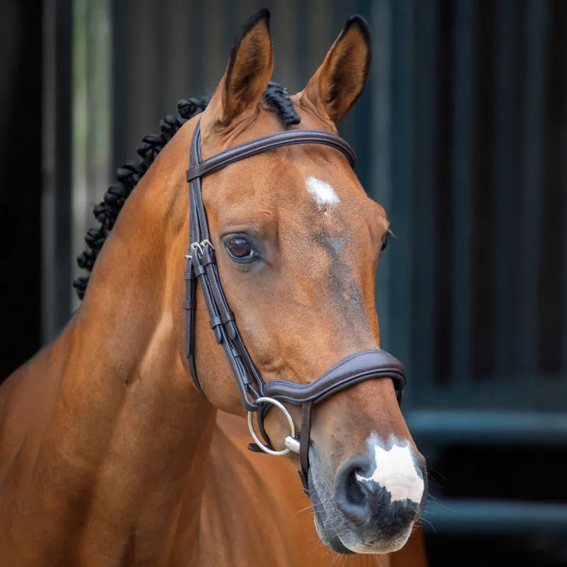 Shires Velociti Lusso Ergonomic Flash Bridle - Havana