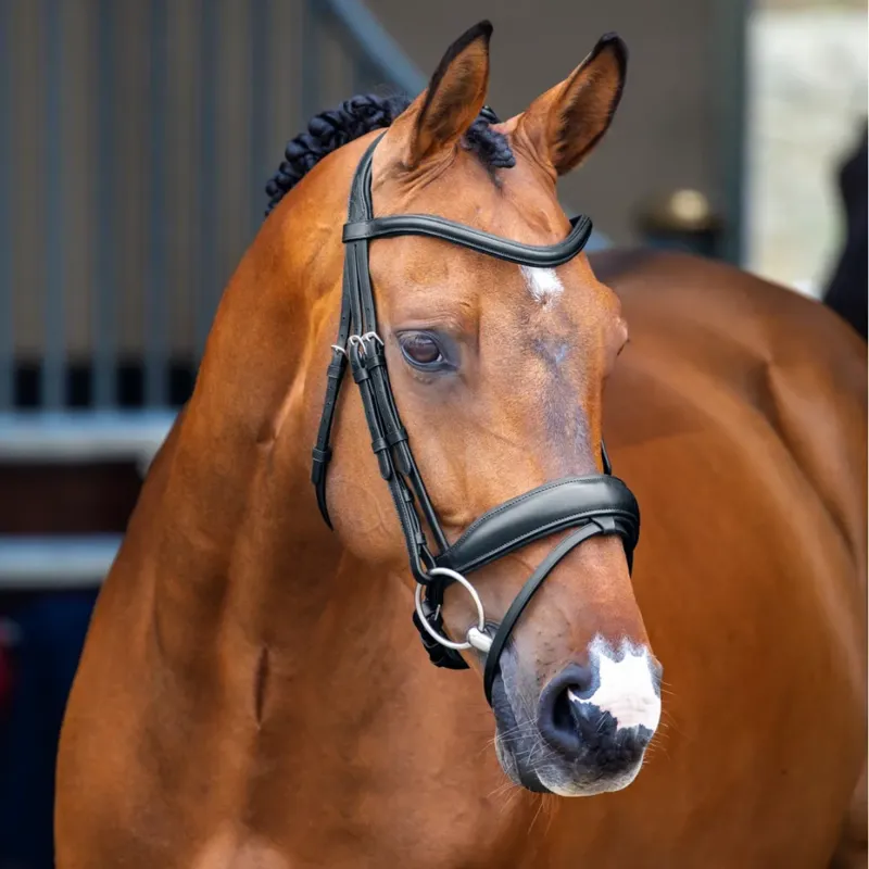 Shires Velociti Lusso Dressage Flash Bridle - Black