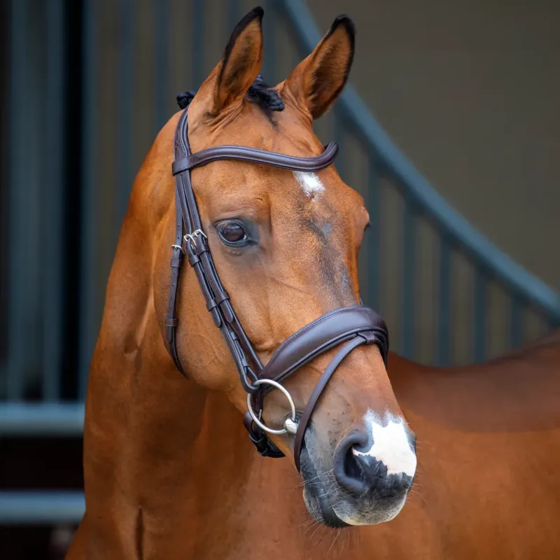 Shires Velociti Lusso Dressage Flash Bridle - Havana