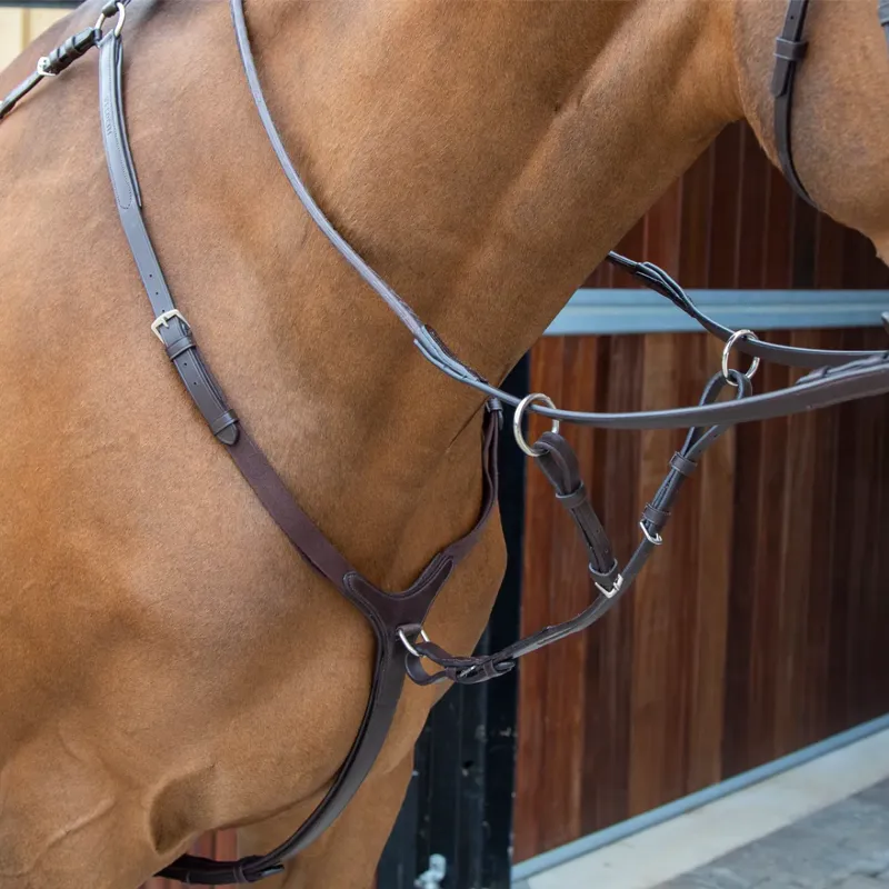 Shires Velociti Lusso Breastplate - Havana