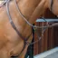 Shires Velociti Lusso Breastplate - Havana