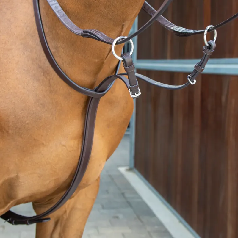 Shires Velociti Lusso Running Martingale - Havana