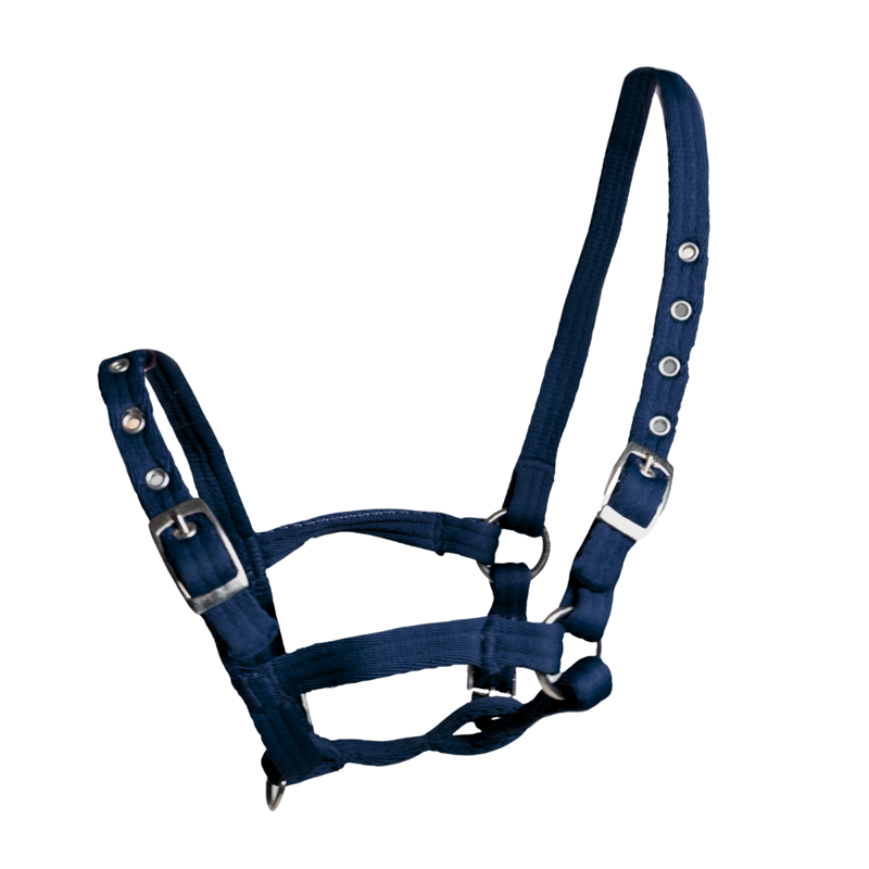 JHL Comfort Web Foal Headcollar - Navy