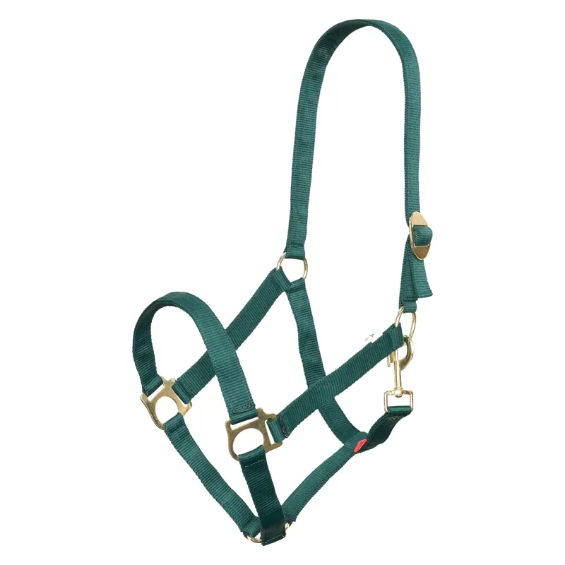 Imperial Riding Economic Headcollar - Forest Green