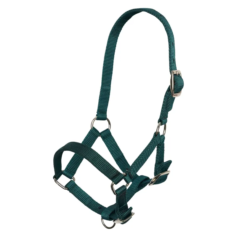 Imperial Riding Economic Foal Headcollar - Forest green