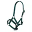 Imperial Riding Foal Headcollar - Forest green