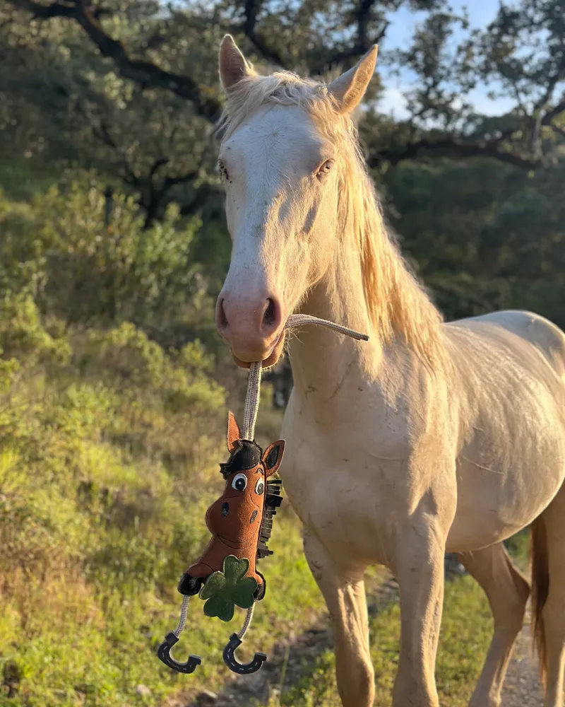 QHP Horse Toy - Good Luck Green-1