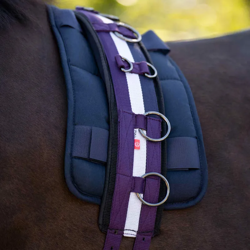 Imperial Riding Deluxe Extra Lunging Girth - Black Berry/White/Navy-1
