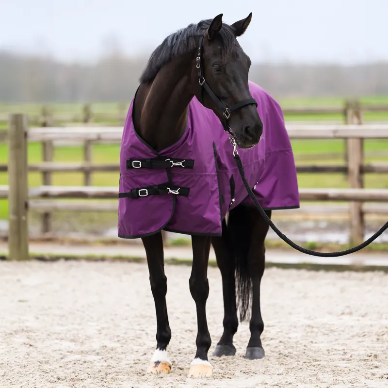 Imperial Riding Limited 200g Highneck Turnout Rug - Purple-1