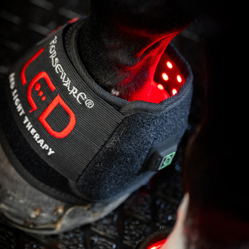 Horseware LED Red Light Therapy Mini Wraps Pair - Black/Black-6