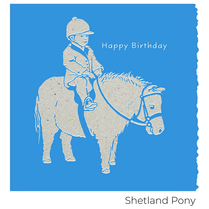 Deckled Edge Colour Block Pony Card-6