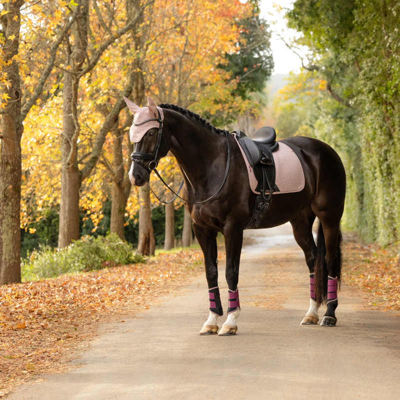 LeMieux Essence Dressage Square - Wild Rose-4