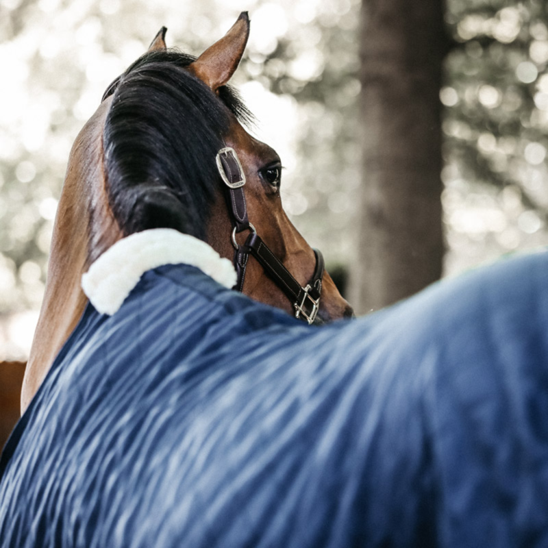 Kentucky 200g Stable Rug - Navy-2