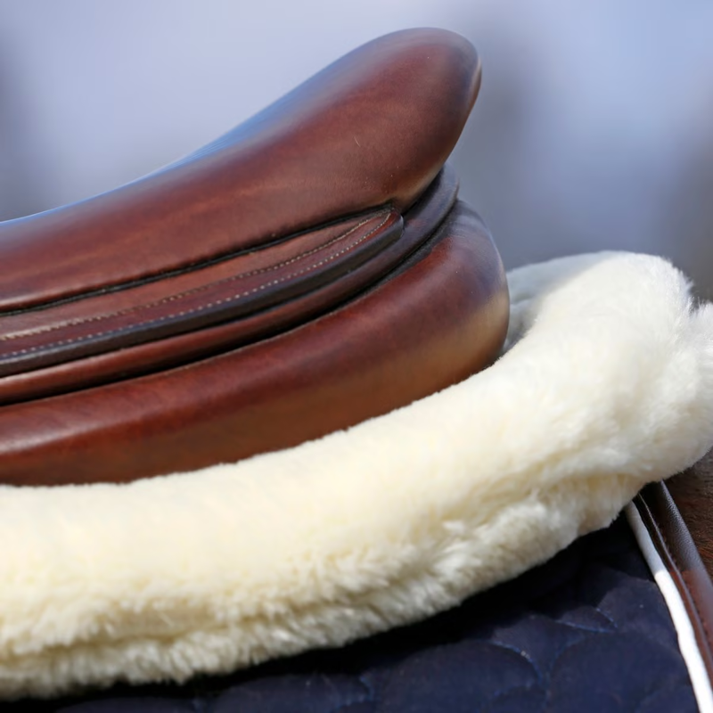 Kentucky Sheepskin Half Pad Absorb - Navy-4
