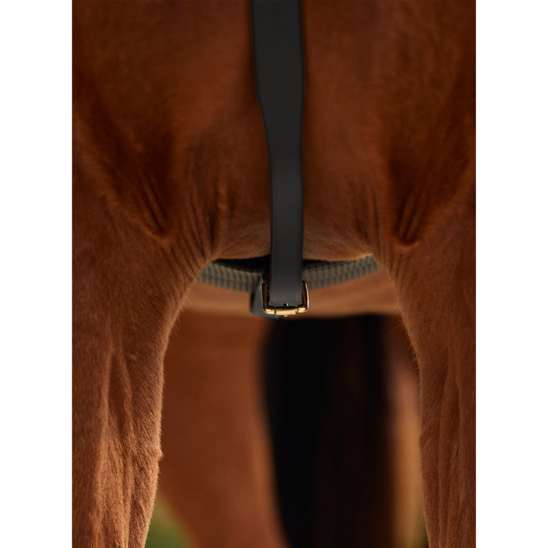 Dublin 3-Point Breastplate - Black-5