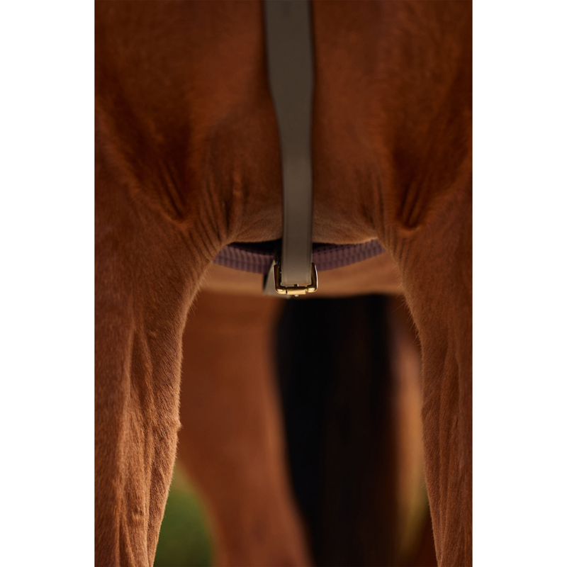 Dublin 3-Point Breastplate - Brown-5