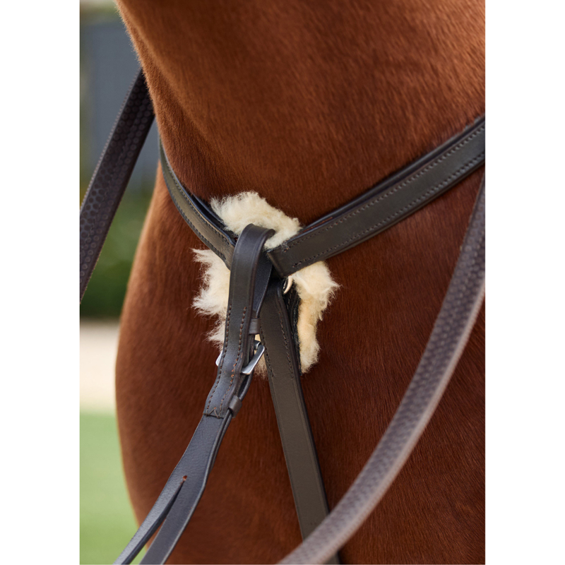 Dublin 5-Point Event Breastplate - Brown-5