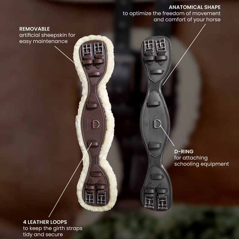 Kentucky Anatomic Short Girth - Black-5