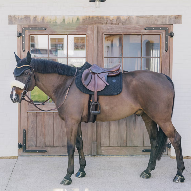 Kentucky Show Jumping Saddlepad with Metal Chain Full - Black-4