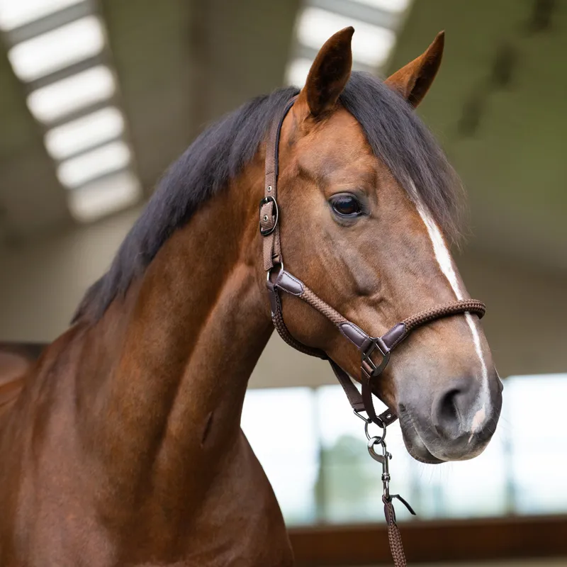 Imperial Riding Laura Headcollar - Chocolate
