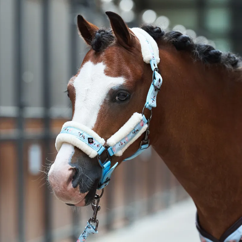 Imperial Riding Little Champion Headcollar - Light Blue-1