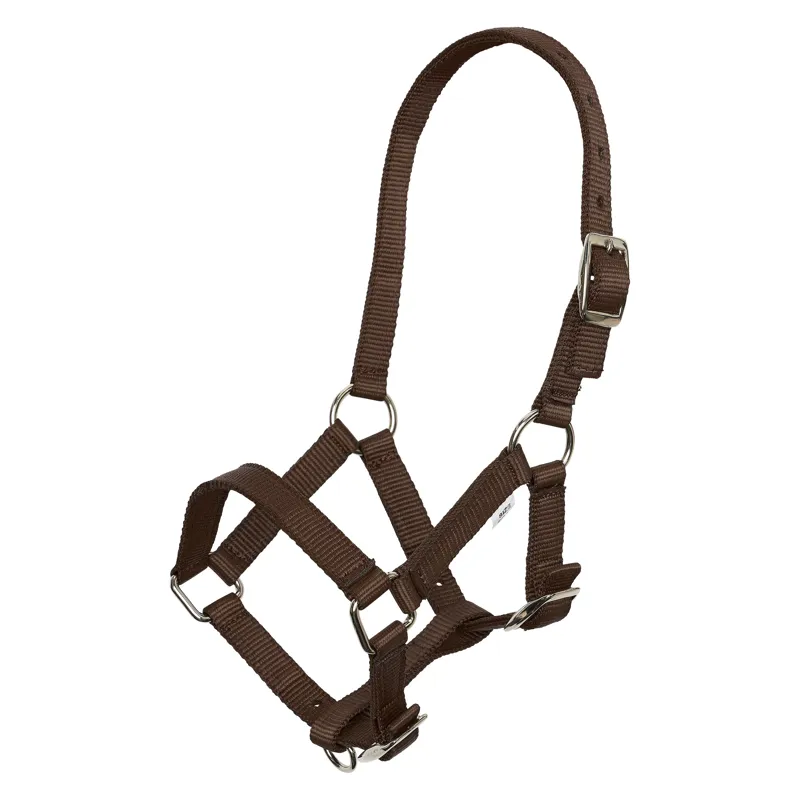 Imperial Riding Foal Headcollar - Walnut