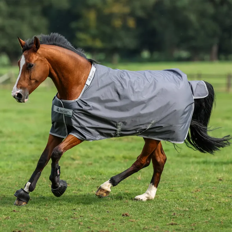 Bucas Smartex Medium 150g Standard Neck Turnout Rug - Iron Gate