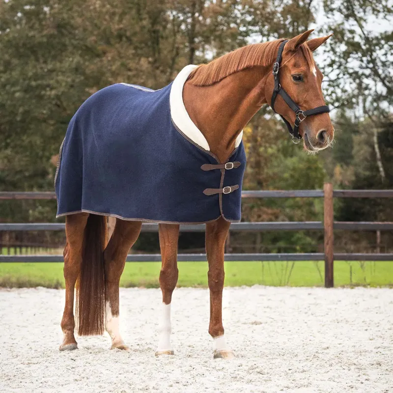 QHP Wool Rug Deluxe - Navy-1