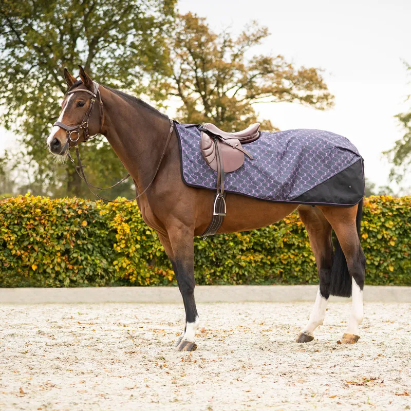 QHP Fleece Lined Turnout Exercise Sheet Collection - Bouncing Bows