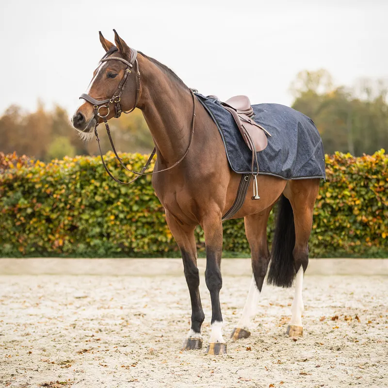 QHP Fleece Lined Turnout Exercise Sheet Collection - Cloud Dancer-1