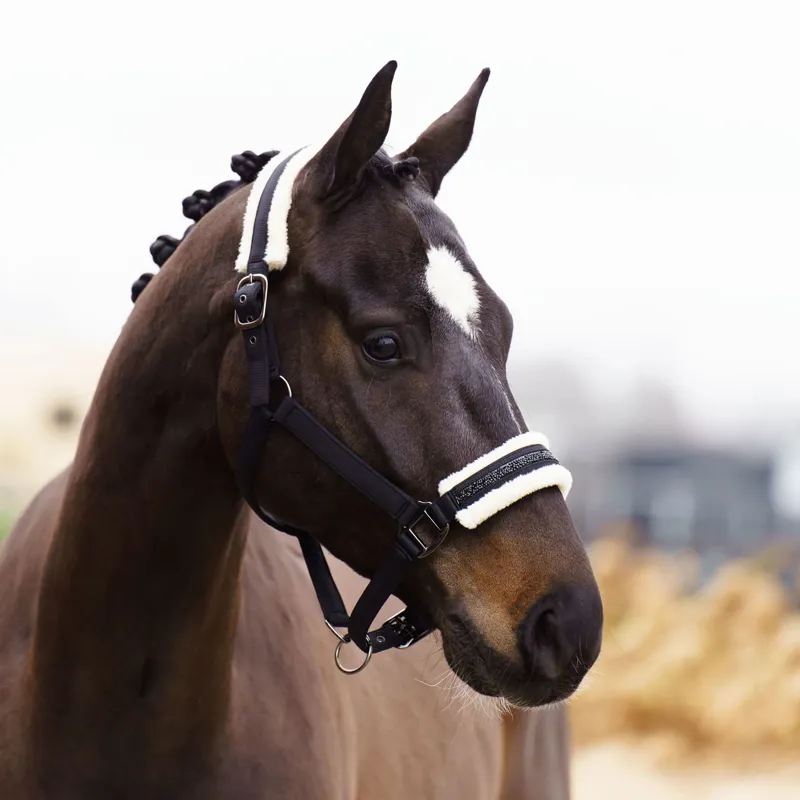Imperial Riding Jewel Headcollar - Black-1