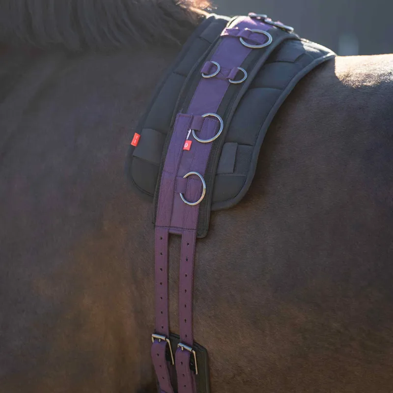 Imperial Riding Deluxe Extra Lunging Girth - Black Berry-1